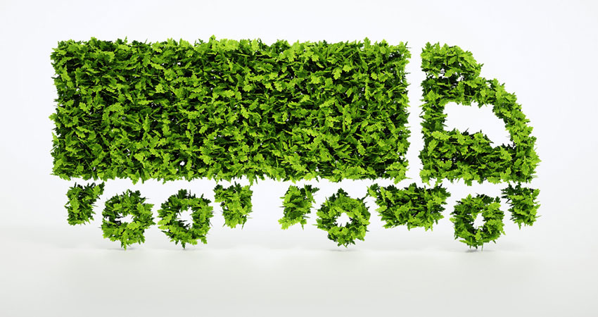 Stepping Up Your Ecommerce Sustainability Game